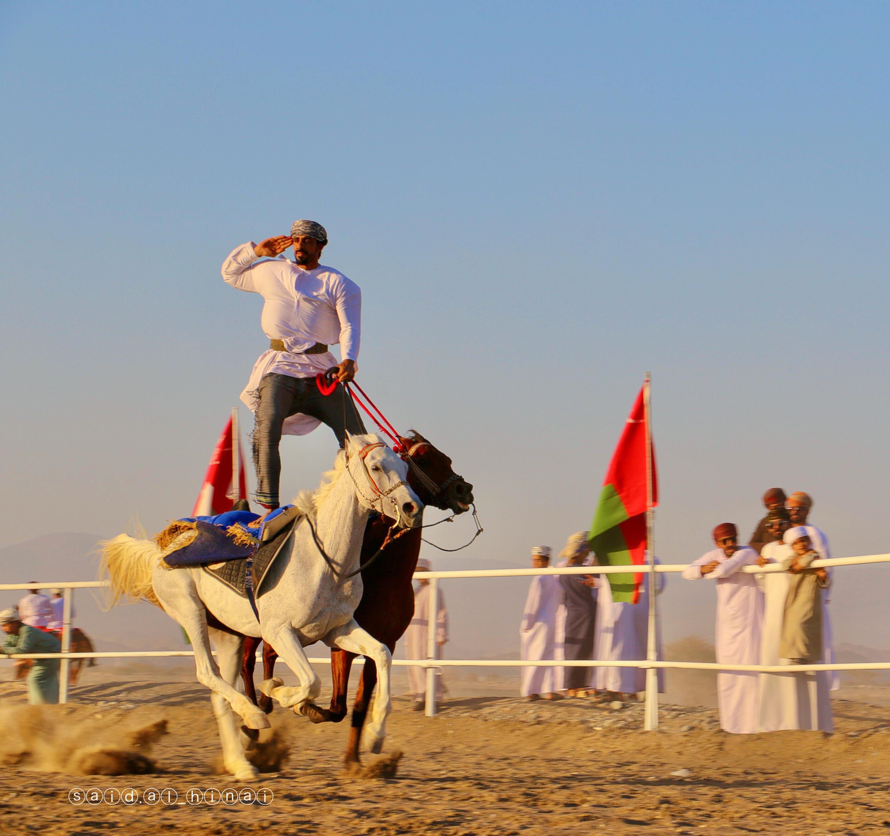 صورة الخبر