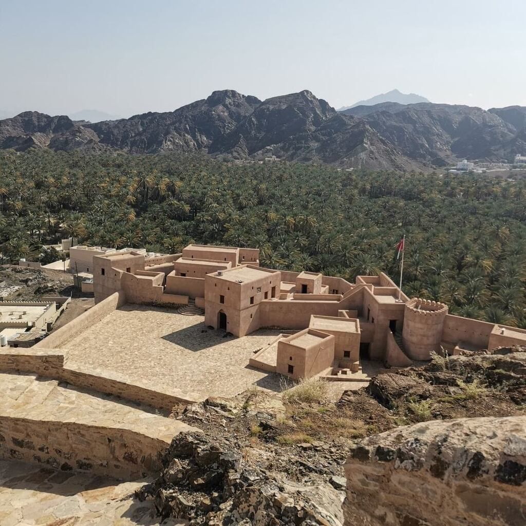صورة الخبر